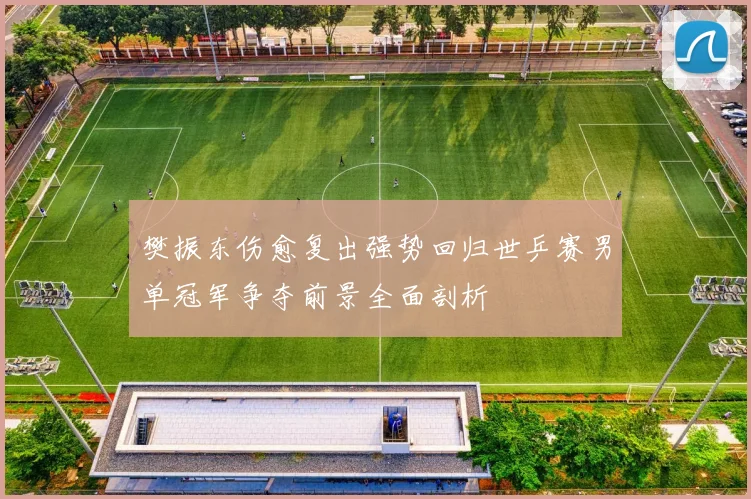 樊振东伤愈复出强势回归世乒赛男单冠军争夺前景全面剖析