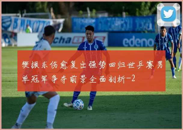 樊振东伤愈复出强势回归世乒赛男单冠军争夺前景全面剖析
