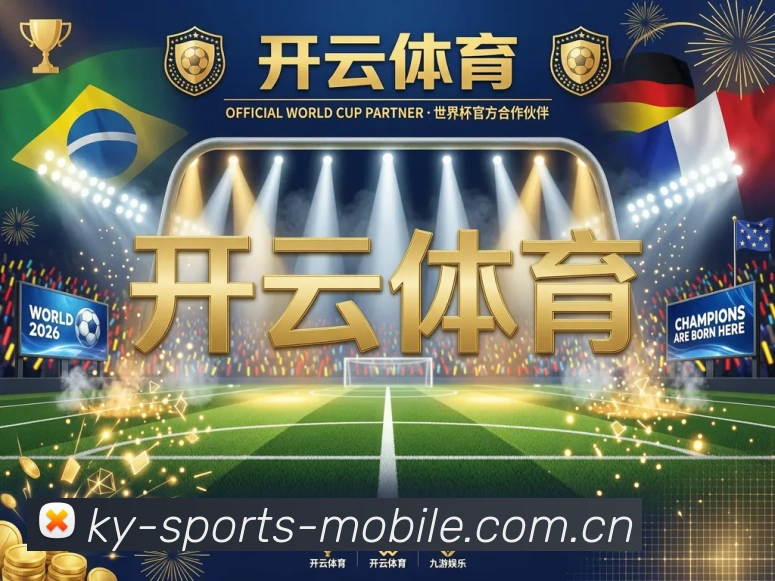 未来规划